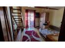 Apartament 1 Camera | Constructie Noua | Confort Lux