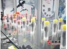 Nozzle Sprayer F00VX30005