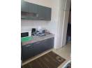 Apartament 1 camera, modern, Dorobantilor