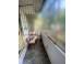 Apartament vanzare 2 camere cluj napoca gheorgheni 909811 poza 7