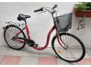 Bicicleta Conway 26 Bike