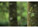 Solutii complete pentru protejarea biodiversitatii