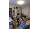 Apartament de vânzare, 2 camere, 32 mp, Iris Oașului