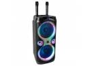 Boxă portabilă Ibiza Sound COLUMBA-KARAOKE 2 10 25cm, 1000W