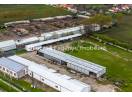 Hale depozitare/producție 2.000 mp si 10.000 mp teren în Pecica
