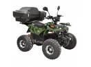 ATV electric Kinder EcoDusty XXL 1200W 60V 20Ah cu COC