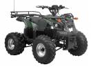 ATV electric Kinder EcoToronto 1200W 60V 20Ah cu DIFERENTIAL