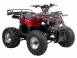 Atv derbi 917720 poza 3