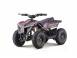 Atv electric nitro e quad anaconda vx 800w cu baterie 36v 12ah lithium 919963 poza 2