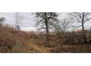 Casa demolabila in sat Gheorghieni (com Feleacu) teren 1547mp intravilan