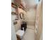 Apartament vanzare 2 camere cluj napoca gheorgheni 924534 poza 3