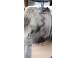 Aparat climatizare altele 925016 poza 2