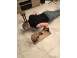 Vind. shirasana. pentru headstand. echipamente sportive si de turism 925111 poza 2