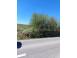 Teren de vanzare abrud 925123 poza 1
