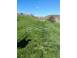 Teren de vanzare abrud 925124 poza 1