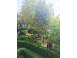 Garsoniera inchiriat cluj napoca gheorgheni 925289 poza 7