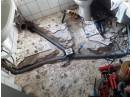 Servicii Instalații: Schimbat Sifon Pardoseală, Țevi Scurgere