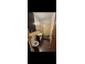 Apartament inchiriat 4 sau mai multe camere cluj napoca manastur 926363 poza 6