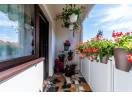 Apartament renovat cu 2 camere Micalaca etaj 3 Comision 0