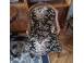 Mobilier decoratiuni sufragerie 926952 poza 4