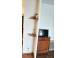 Apartament inchiriat 1 camera cluj napoca marasti 927097 poza 4