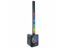 Sistem de sonorizare Ibiza Monolite 12″ (30 cm), 1000W