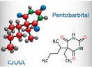 Pentobarbital sodium solution (Nembutal)