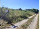 Teren 500 mp la limita intravilanului – Valea Chintaului