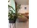 Apartament vanzare 1 camera cluj napoca grigorescu 933722 poza 3