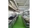 Spatiu comercial hale inchiriat cluj napoca marasti 934240 poza 4