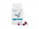 Niraparib capsule maintenance therapy for advanced ovarian cancer diverse 935278 poza 1