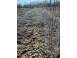 Teren de vanzare abrud 936686 poza 8