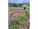 Teren de vanzare abrud 936686 poza 2